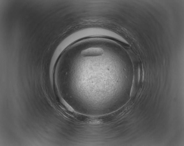 X0000084560456200702231236