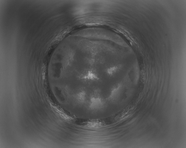 X0000084560458200702231236