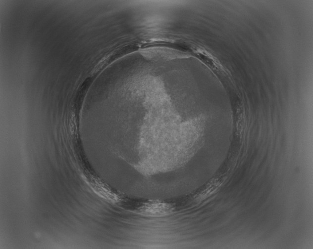 X0000084560459200702231237