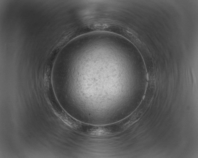 X0000084560460200702231237
