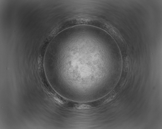 X0000084560463200702231237