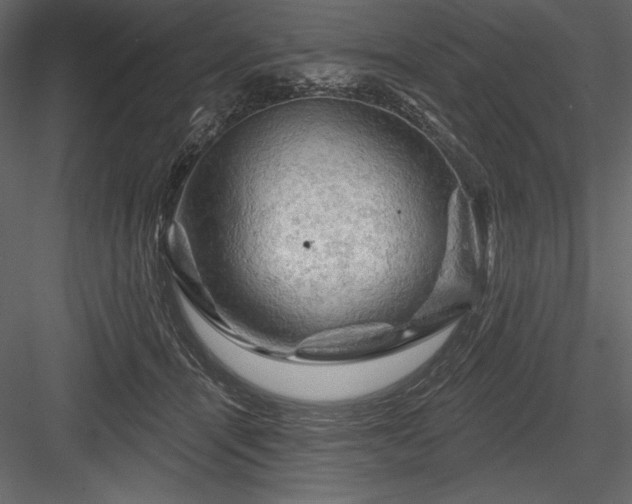 X0000084560464200702231237