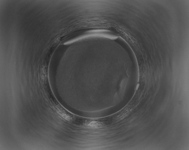 X0000084560467200702231237