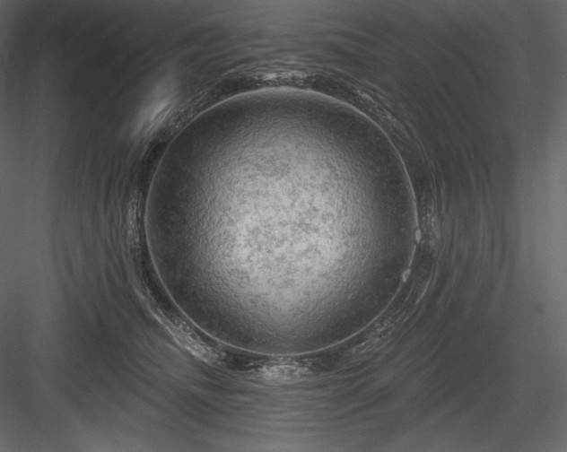 X0000084560468200702231237