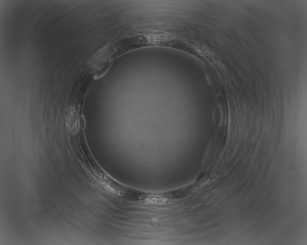 X0000084560471200702231237