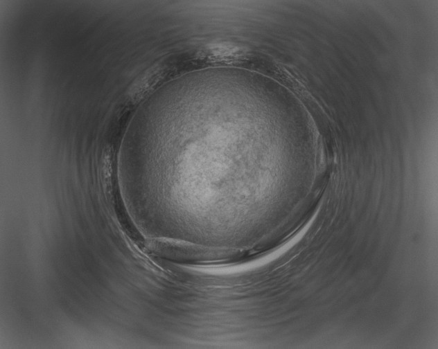 X0000084560472200702231237