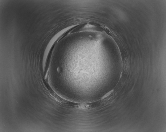X0000084560474200702231237