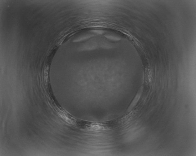 X0000084560475200702231237