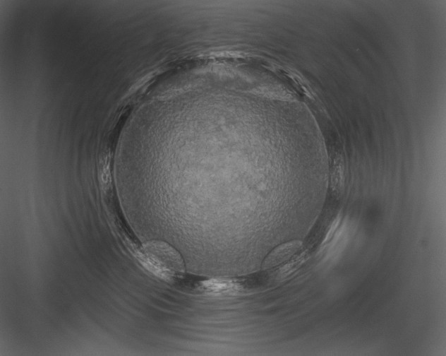 X0000084560477200702231237