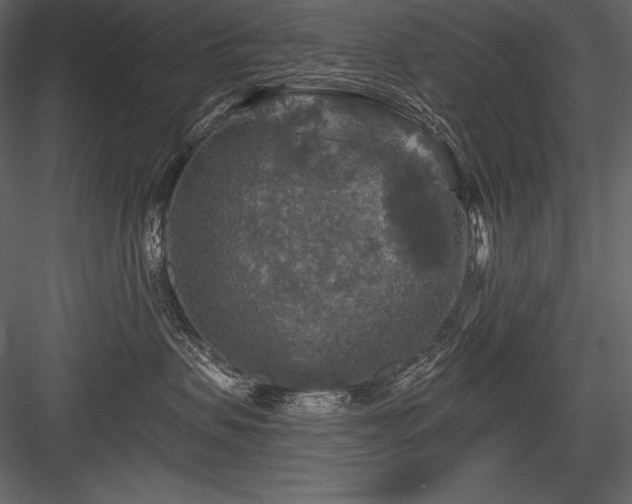 X0000084560479200702231237