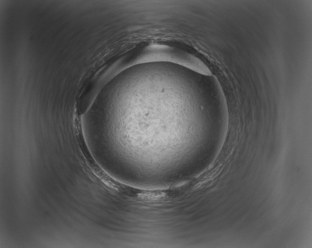 X0000084560480200702231237
