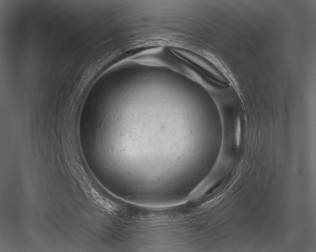 X0000084560481200702231236