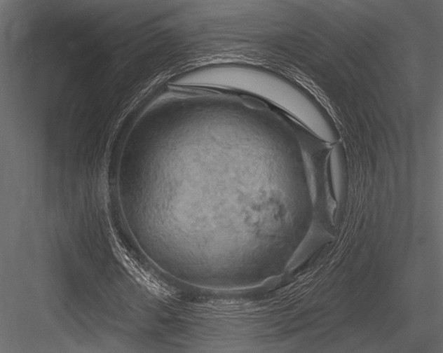 X0000084560482200702231236