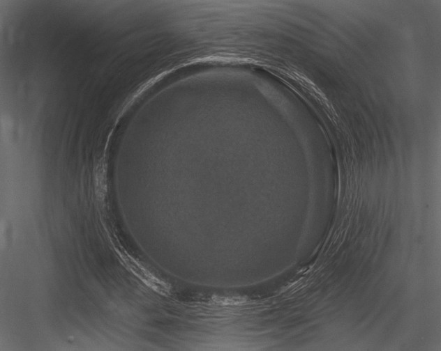 X0000084560484200702231236