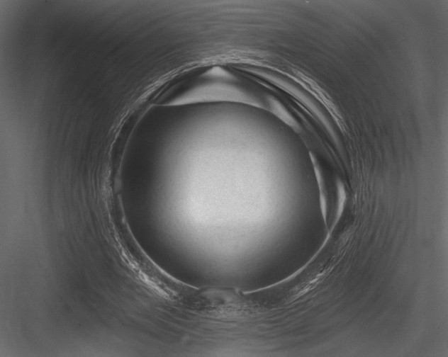 X0000084560485200702231236
