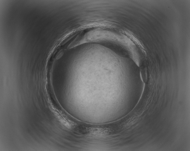 X0000084560486200702231236