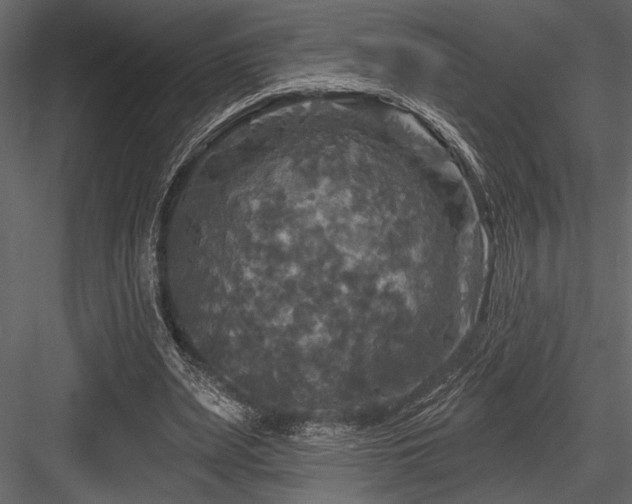 X0000084560487200702231236