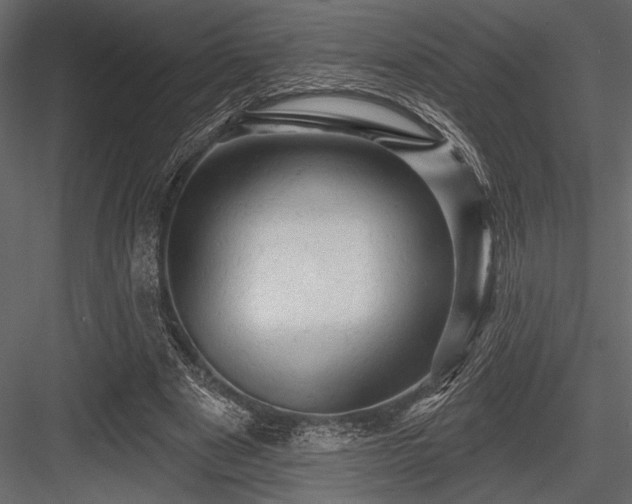 X0000084560489200702231236