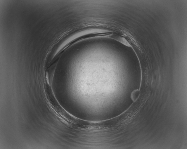 X0000084560490200702231236