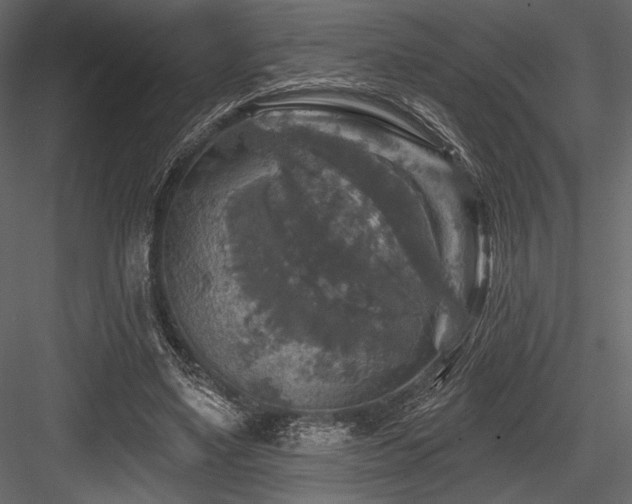 X0000084560491200702231236