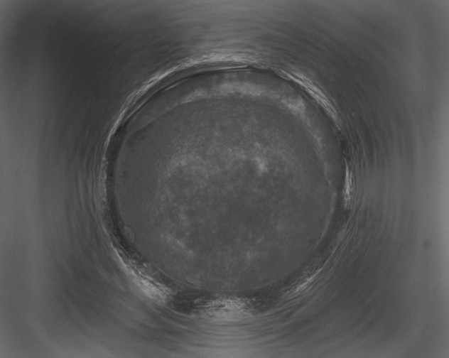 X0000084560492200702231236