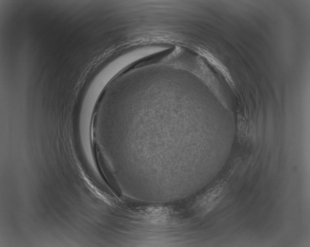 X0000084560493200702231236