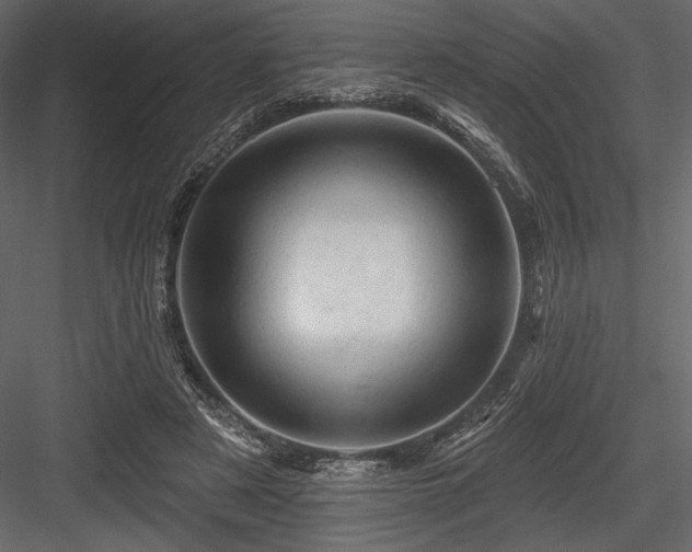 X0000084560497200702231236