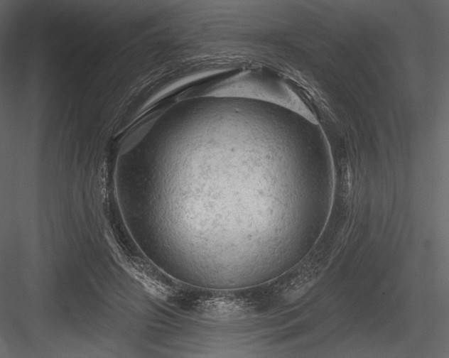 X0000084560498200702231236