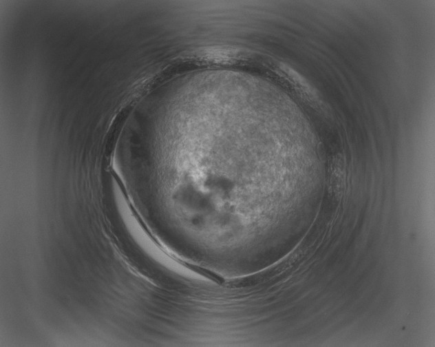 X0000084560500200702231236