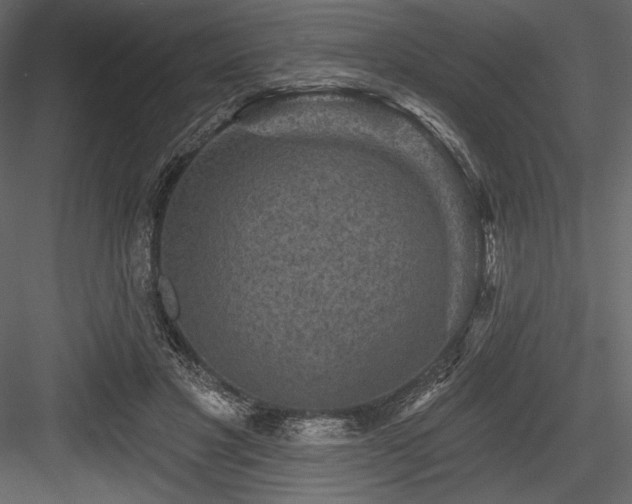 X0000084560501200702231236