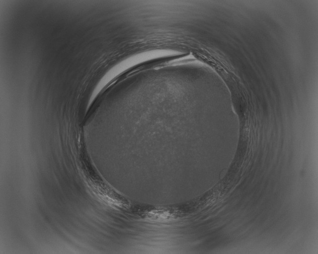 X0000084560502200702231236
