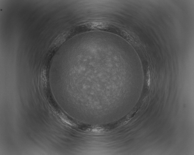 X0000084560506200702231236