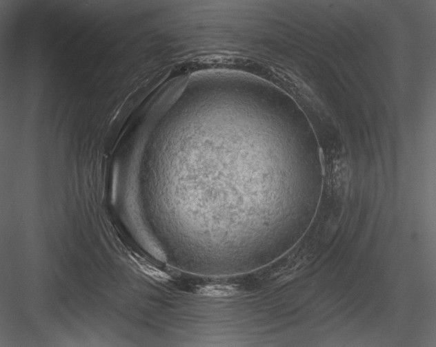 X0000084560508200702231236