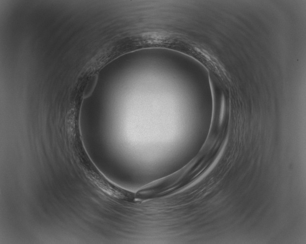 X0000084560509200702231236
