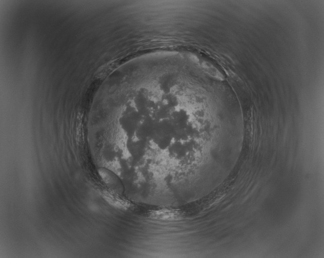 X0000084560511200702231236
