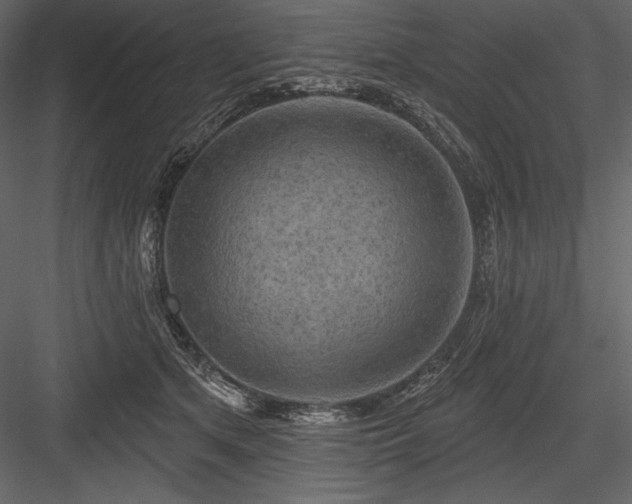 X0000084560513200702231235