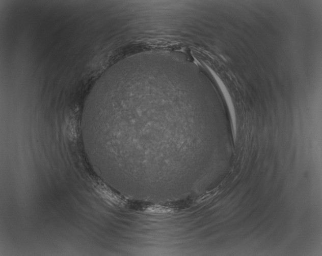 X0000084560515200702231235