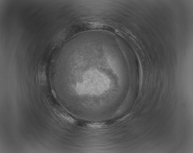 X0000084560516200702231235