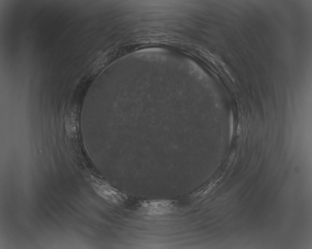 X0000084560517200702231235