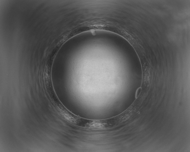 X0000084560518200702231235