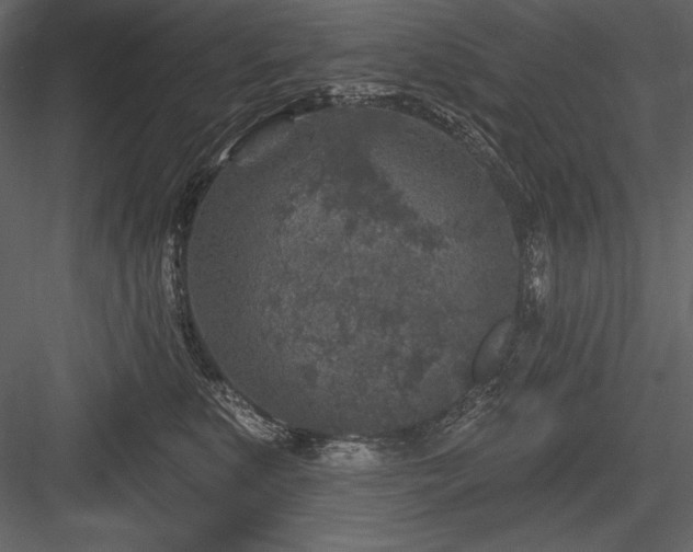X0000084560519200702231235