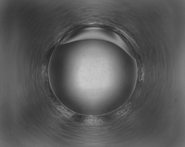 X0000084560521200702231235