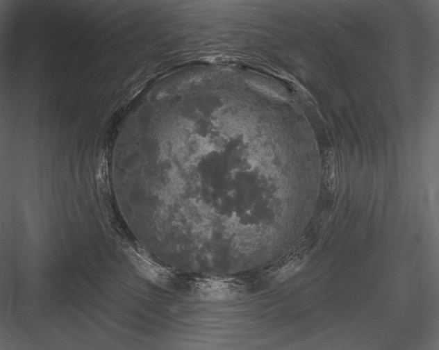 X0000084560523200702231235