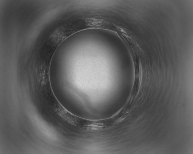 X0000084560525200702231235