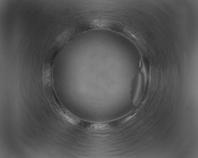 X0000084560526200702231235