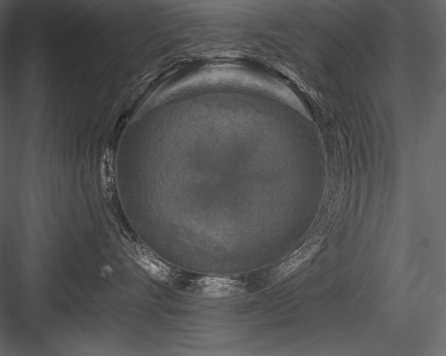 X0000084560528200702231235