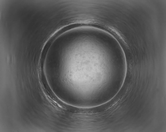 X0000084560532200702231234
