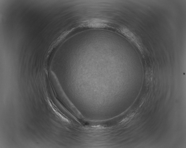 X0000084560533200702231234