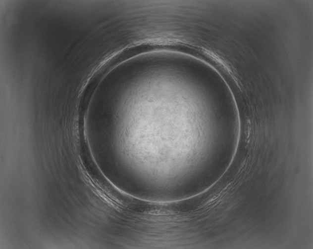 X0000084560535200702231234