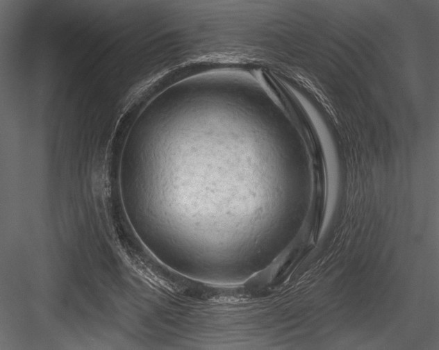 X0000084560536200702231234